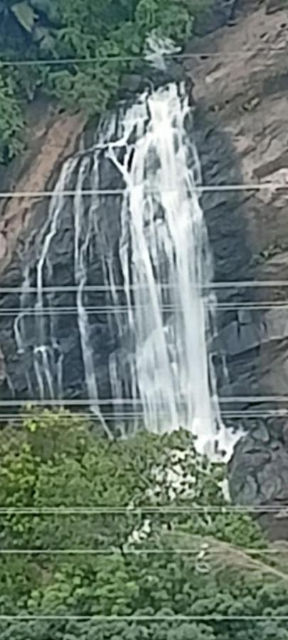 4 Acre Woods Farm Stay Munnar Exteriör bild